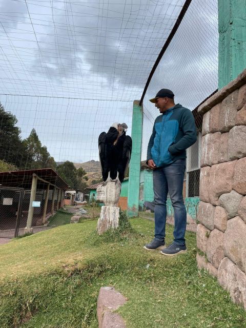 Cusco: Sanctuary of Animals Rescued "Cochahuasi" - Itinerary