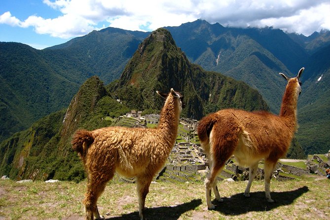 Cusco Small-Group Full-Day Machu Picchu Tour - Traveler Photos