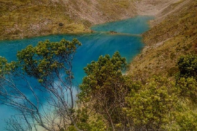 Cusco to Challacancha Trail 5-Day Salkantay Trekking Adventure - Questions and Assistance