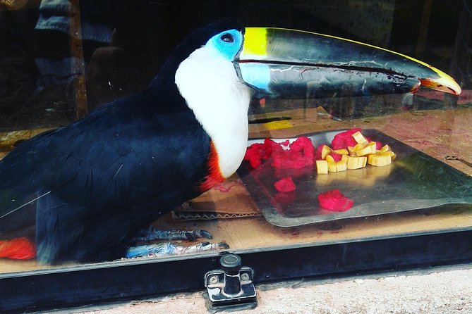 Cusco: Visit to Cochahuasi Animal Sanctuary With Transport - Cancellation Policy