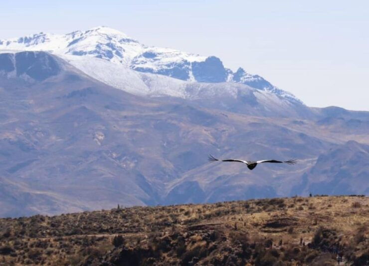 Cusco:Killarumiyoq, Tarawasi and Chonta Viewpoint Private - Experience Highlights