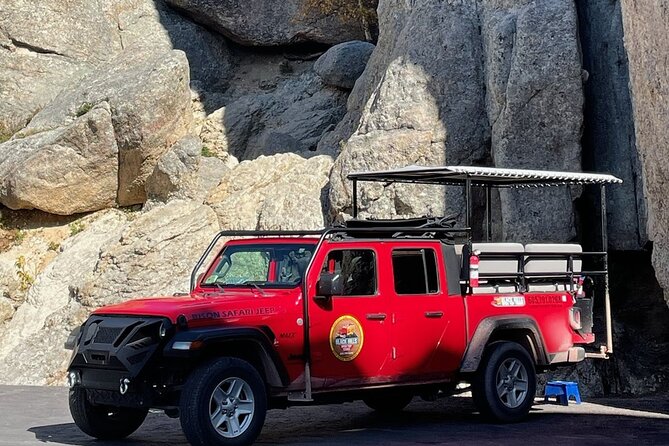 Custer State Park Private Safari Van Tour  - Rapid City - Scenic Locations
