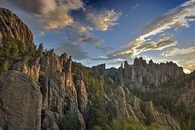 Custer State Park Wildlife Loop and Needles Highway Shared Tour - Good To Know