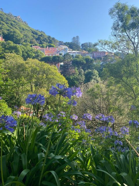 Custom 1/2 Day Private Tour of Sintra Photo Shoot - Good To Know