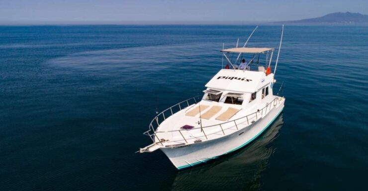 Custom 46' Boat in Puerto & Nuevo Vallarta - Booking Details
