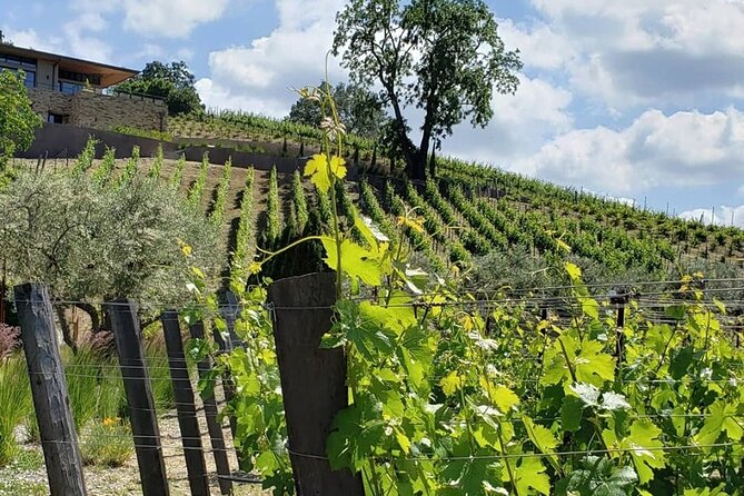 Custom 8-Hour Napa Valley Wine Tour in a Luxury Vehicle - Cancellation Policy and Refund Information
