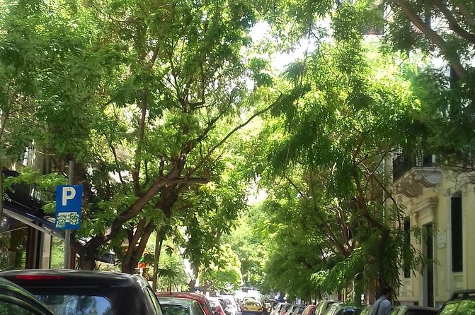 Custom Athens: Your Tailor-Made Local Experience - Local Provider Details