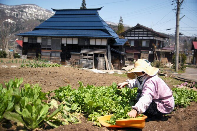 Custom Bike and Walk Countryside Adventure in Rural Japan - Frequently Asked Questions