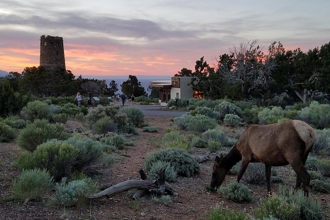 Custom Grand Canyon Day Trip - Traveler Tips and Reviews