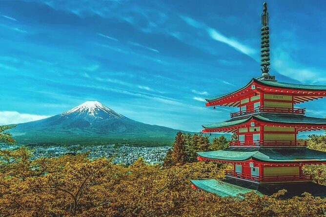 Custom Guided Day Tour to Mt. Fuji with English-Speaking Driver - The Itinerary in Detail