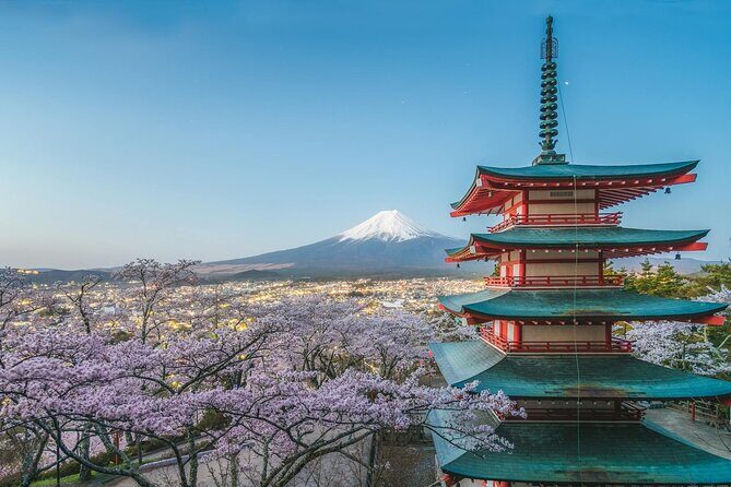 Custom Guided Day Tour to Mt. Fuji with English-Speaking Driver - Who Should Consider This Tour?