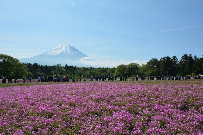 Custom Guided Day Tour to Mt. Fuji with English-Speaking Driver - FAQs