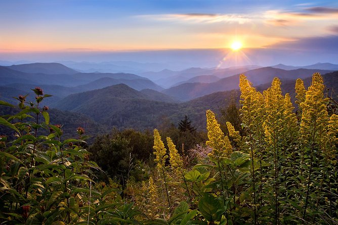 Custom Half-Day Photo Tour With Photography Lessons From Asheville - Inclusions