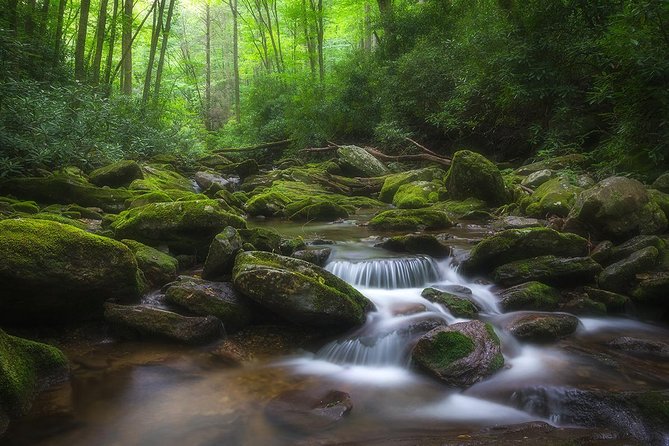 Custom Half-Day Photo Tour With Photography Lessons From Asheville - Pickup Details