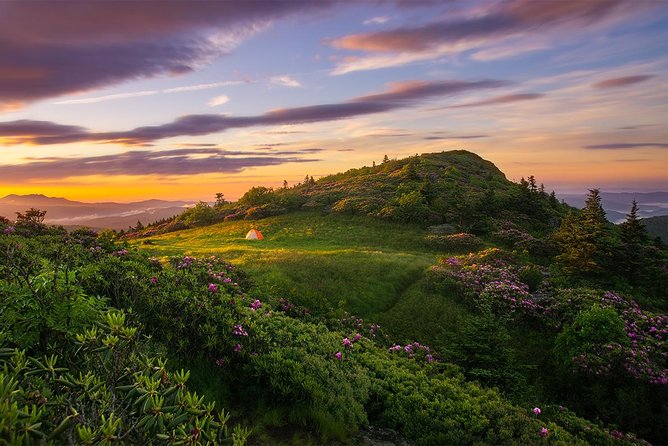 Custom Half-Day Photo Tour With Photography Lessons From Asheville - Itinerary Options