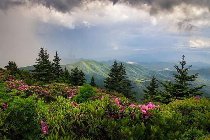 Custom Half-Day Photo Tour With Photography Lessons From Asheville - Booking and Pricing Information