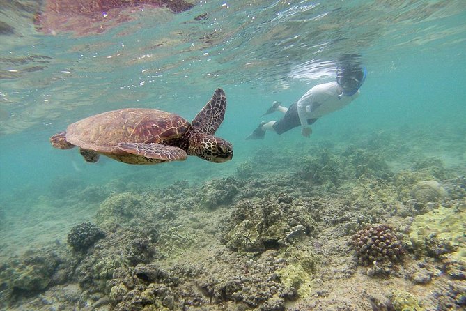 Custom Island Tour - for 6 to 14 People - up to 8 Hours - Private Tour of Oahu - Cancellation Policy