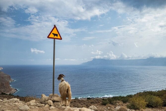 Custom Jeep Tours: a Consummately Curated Odyssey From Chania - Exploring Chanias Hidden Gems