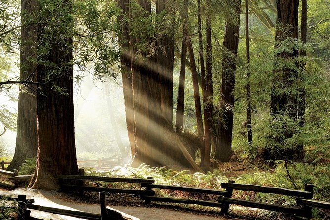 Custom Muir Woods and Napa Wine Tour From San Francisco - Reviews