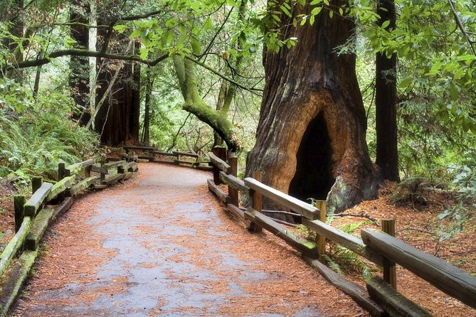 Custom Muir Woods and Napa Wine Tour From San Francisco - Directions