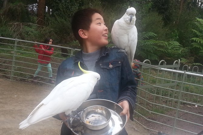 Custom Private Day Tour Melbourne to All Surrounding Areas for up to 11 People - Overview of the Tour