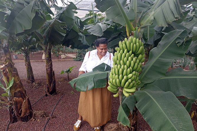 Custom Private Full-Day Tour Into the Heart of Tenerife - Booking and Cancellation Policy