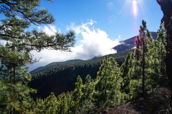 Custom Private Full-Day Tour Into the Heart of Tenerife - Terms and Conditions