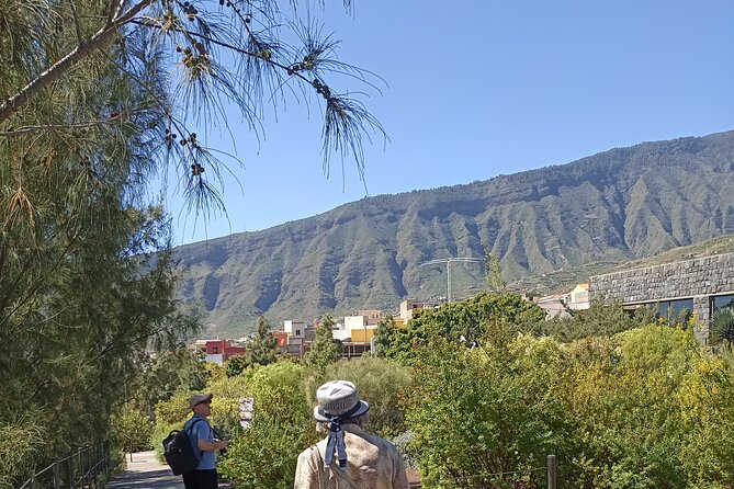 Custom Private Tenerife Highlights Car Tour - Cultural and Historical Sites