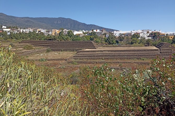 Custom Private Tenerife Highlights Car Tour - Local Cuisine and Dining Options