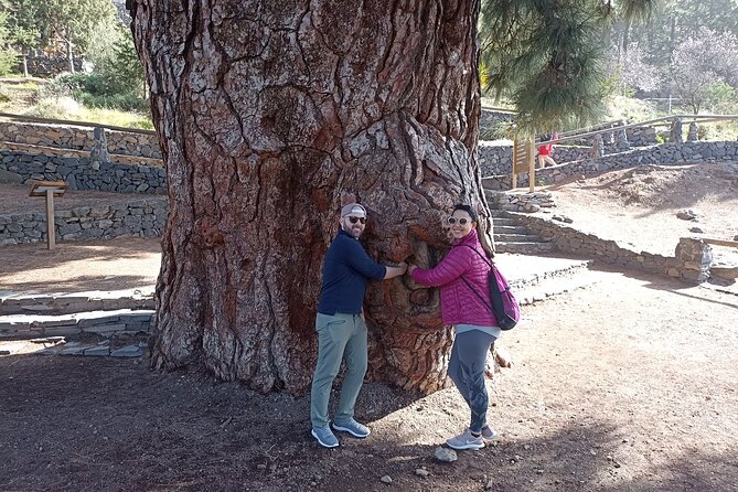 Custom Private Tenerife Volcano Car Tour - Reviews and Ratings