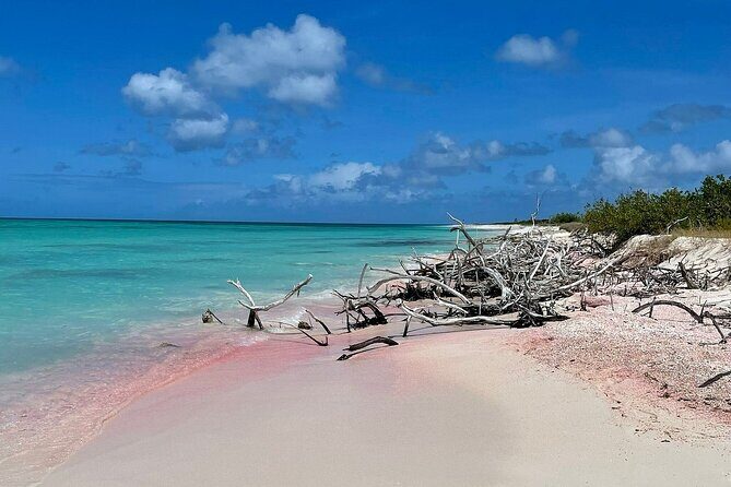 Custom Private Tour of Antigua Explore at Your Own Pace - Good To Know