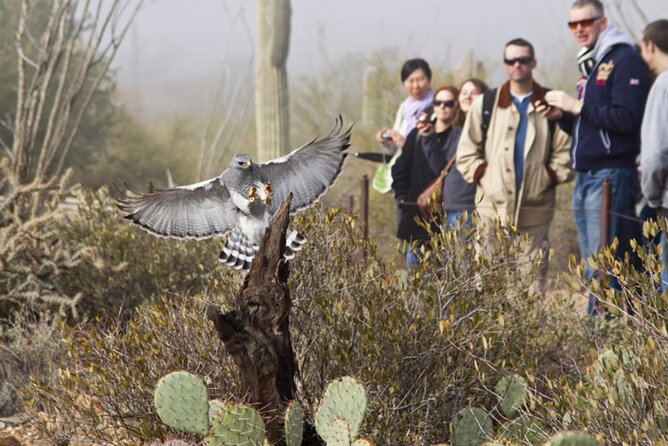 Custom Private Tucson Day Tour From Phoenix - Itinerary Details