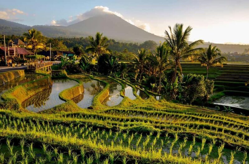 Custom Private Ubud Tour with Flexible Options & Tickets - Good To Know