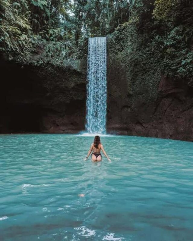 Custom Private Ubud Tour with Flexible Options & Tickets - Flexibility in the Heart of Bali