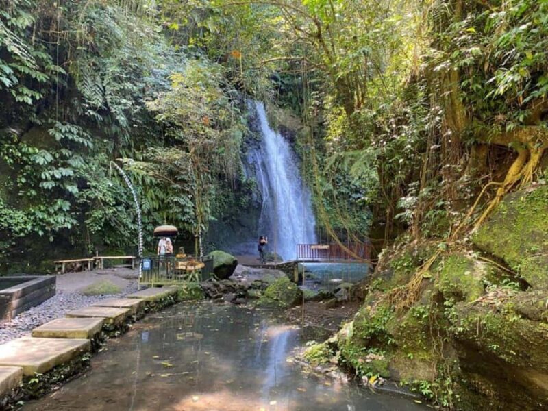 Custom Private Ubud Tour with Flexible Options & Tickets - Cultural Experiences in Ubud