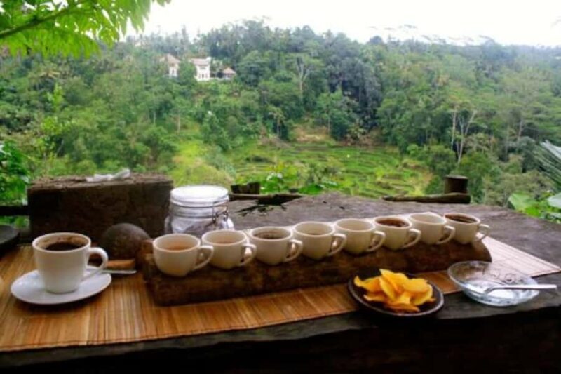 Custom Private Ubud Tour with Flexible Options & Tickets - Coffee Plantation and Lunch – A Taste of Bali