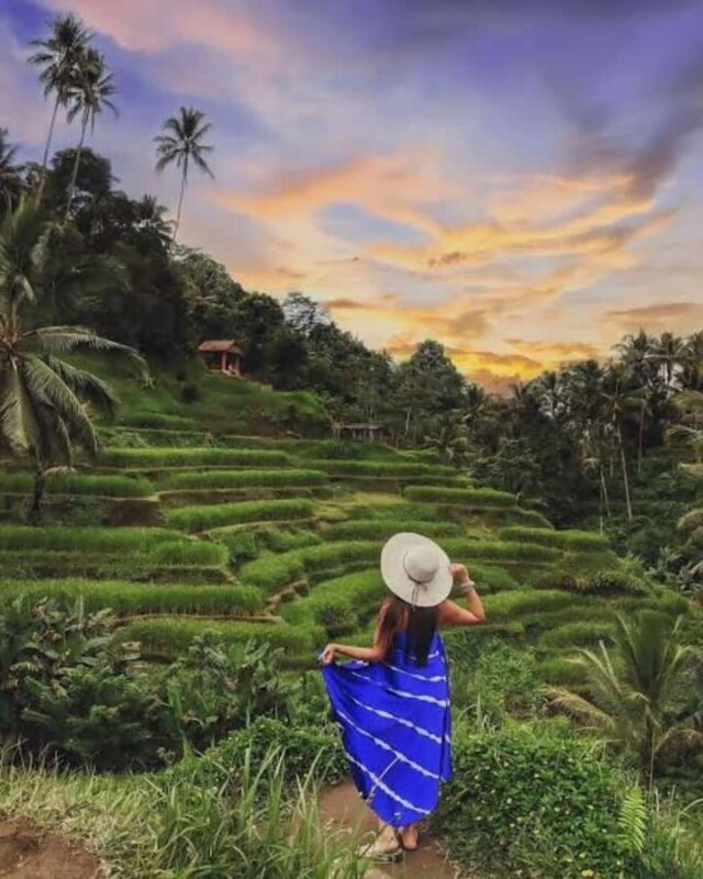 Custom Private Ubud Tour with Flexible Options & Tickets - Review Insights and Tips