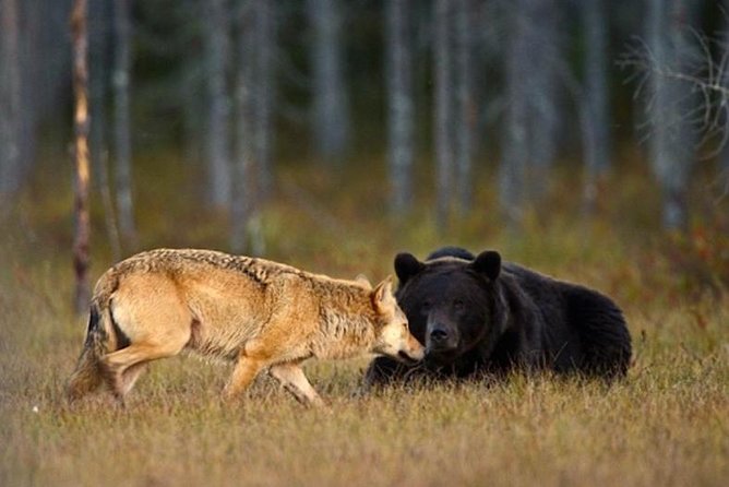Custom Wildlife Tour - Inclusions and Amenities