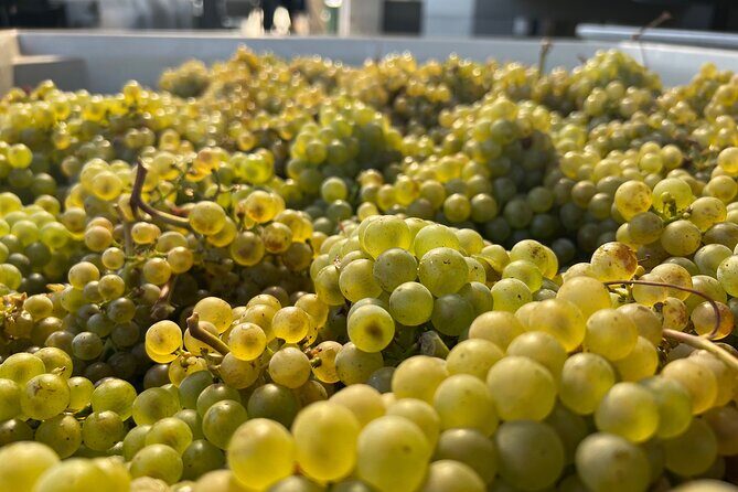 Custom Willamette Wine Tours from The Allison Inn and Spa - Good To Know