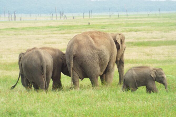 Customizable 10 Days Sakaram Chronicles Tour - Final Thoughts