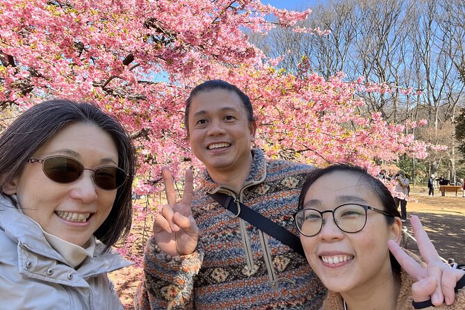 Customizable 2-4hr Walking Tour of Tokyo - Directions