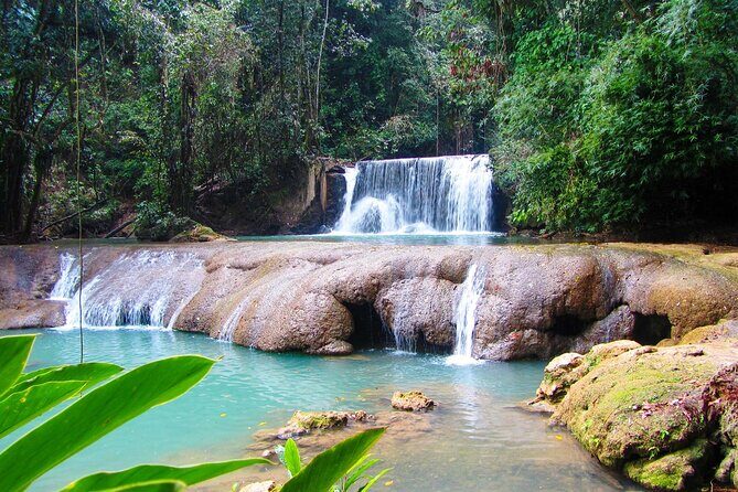 Customizable Combo package to Black River Safari and YS Falls - Exploring Jamaica’s Natural Wonders: A Detailed Review of the Black River Safari and Y.S. Falls Combo