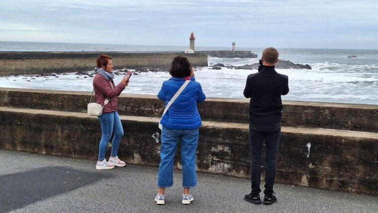 Customizable Full Day Porto Tour: Choose Your Experience - Food and Drink: A Culinary Journey