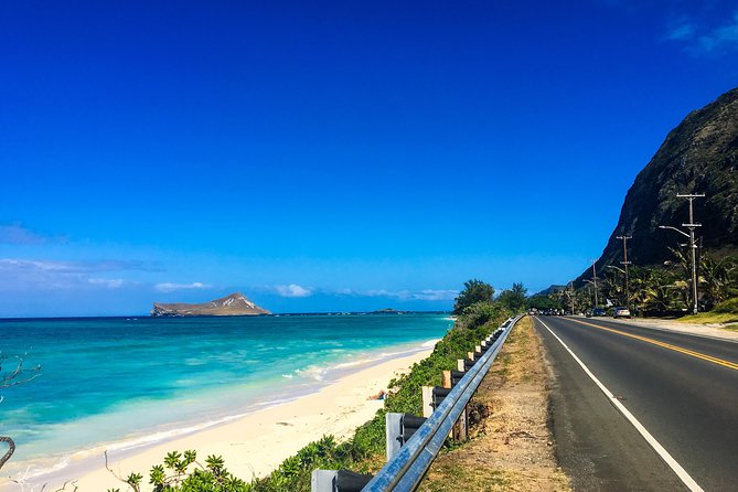 Customizable Island Tours Tours on Oahu - Reviews