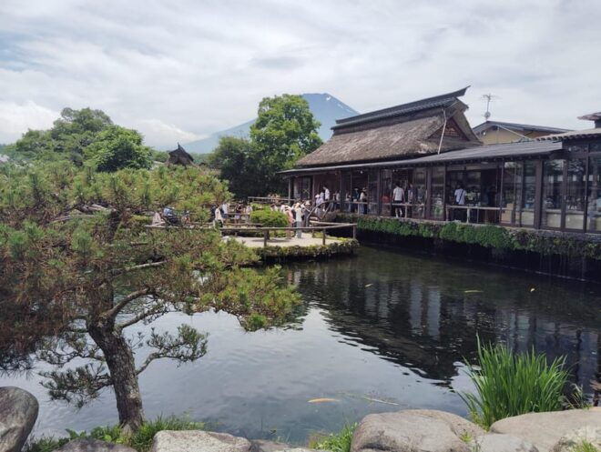 Customizable Mount Fuji Private Tour/ Eng Speaking Driver - Customer Experience