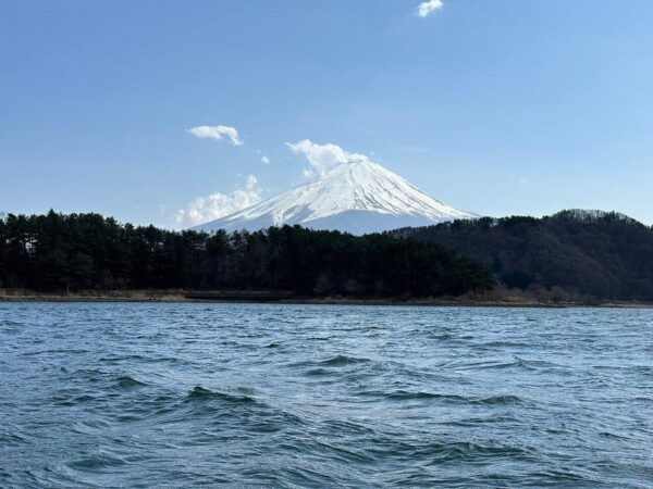 Customizable Mount Fuji Private Tour/ Eng Speaking Driver - Booking and Cancellation