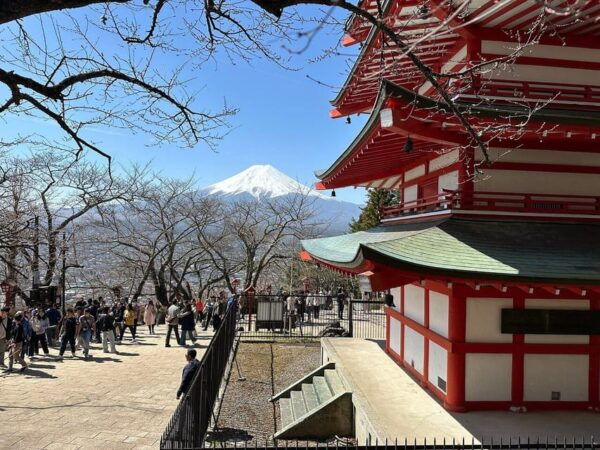 Customizable Mount Fuji Private Tour/ Eng Speaking Driver - Discover More About Mount Fuji