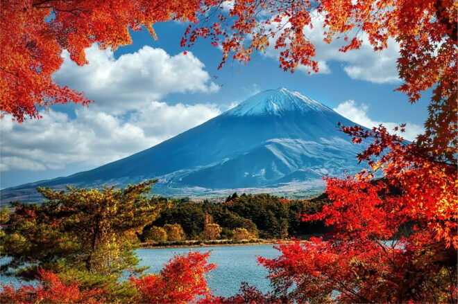 Customizable Mount Fuji Tour With Personal Driver & Lux. Van - Vehicle Comfort and Features