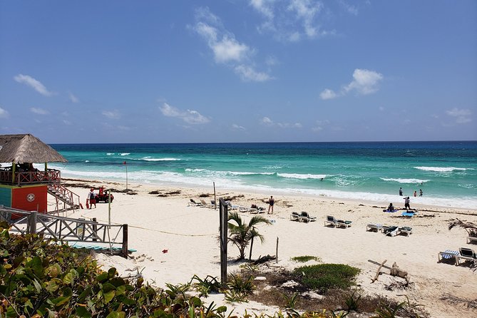 Customizable Private Buggy Tour in Cozumel With Lunch and Snorkel - Common Questions