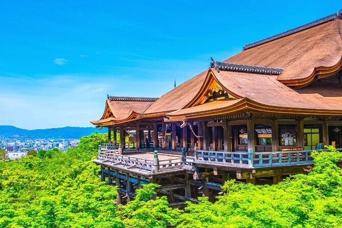 Customizable Private Day Tour by Car in Kyoto City - The Detailed Breakdown of the Tour Experience